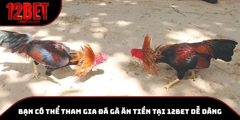 Bạn có thể tham gia đá gà ăn tiền tại 12BET dễ dàng
