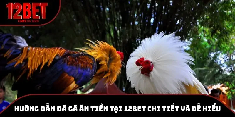 đá gà ăn tiền