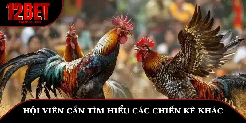 Hội viên cần tìm hiểu các chiến kê khác