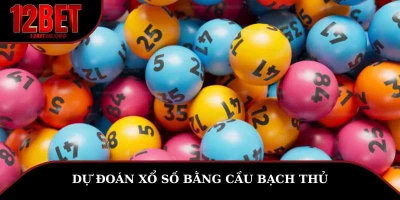 Dự đoán xổ số bằng cầu bạch thủ