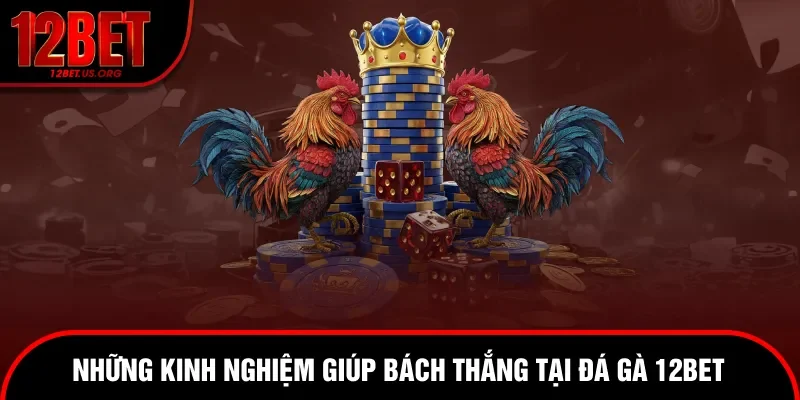 Kinh nghiệm chơi chọi kê từ cao thủ
